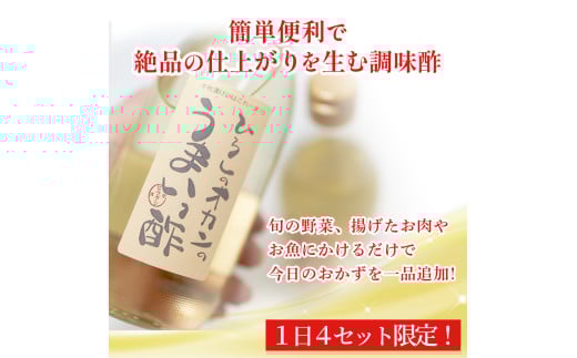 お肉、お魚、お野菜に！絶品甘酢「ひろしのオカンのうまいっ酢」／Lsh-B01 