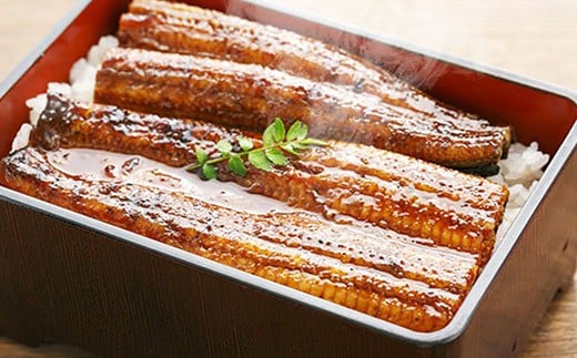 〈鰻大好き定期便〉うなぎ蒲焼き≪大≫（160g x 6本）12カ月セット ／Resu-07