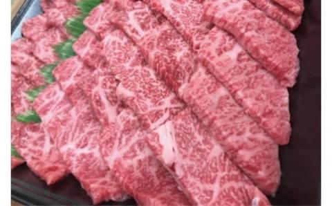 【定期便3回／隔月】四万十麦酒（ビール）牛。牛肉を焼肉用に厚切り。／Sasz-01