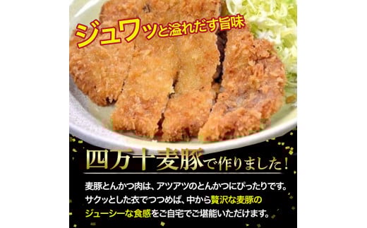 農林水産大臣賞！「四万十ポーク」麦豚ロースとんかつ＆しゃぶしゃぶセット（1.1kg） 豚カツ 豚かつ シャブシャブ 国産 ぶた肉 豚肉 肉 お肉 国産豚肉 国産ぶた肉 冷蔵 ／Ahc-03