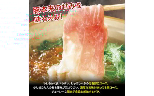 平野協同畜産の「麦豚」しゃぶしゃぶ3種食べ比べ 1.2kg（200ｇ×6パック） 豚肉 麦豚 四万十ポーク ブランド豚 しゃぶしゃぶ 豚しゃぶしゃぶ ロース 肩ロース バラ／Ahc-11