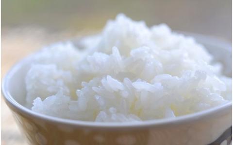 四万十麦酒（ビール）牛。牛肉の肩ロース。しゃぶしゃぶにも大人気！／Asz-B08