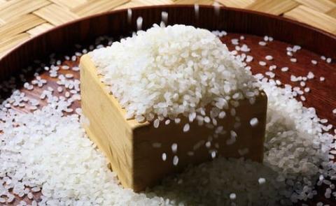 ウソのような本当の香りに感動！仁井田米5㎏【武吉米穀店人気NO.１】／Btb-C02