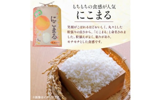 【新米】【令和7年産米】仁井田米「にこまる」（5kg）　／Bti-Z09