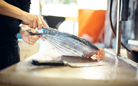 鮮度抜群！魚市場直送の藁焼きカツオのタタキ！たっぷり6-8人前／Ems-02