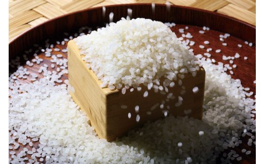 ドドドンと大うなぎ３尾！四万十の極上うな重セット ／Esg-A24