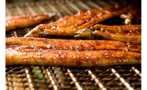 四万十味紀行 うなぎ飯の素／Ess-08