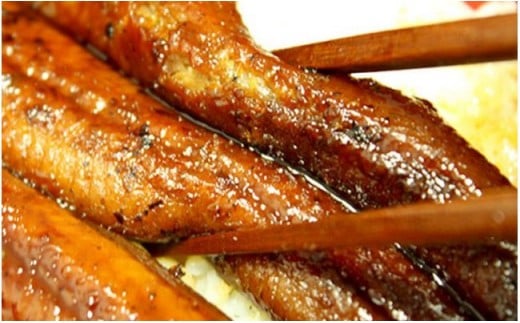 うなぎ蒲焼き【160g×2本セット】／Esu-124 