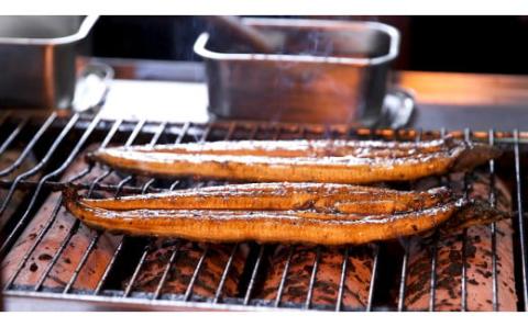 うなぎ蒲焼き【260g x 1本】／Esu-40