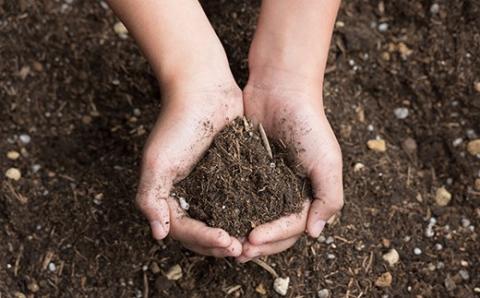 味と収穫量が違う、プロ仕様の培養土「四万十畑」２Lｘ２袋／Fis-A04