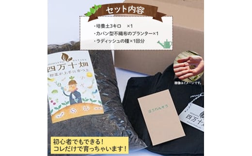 ベランダでも育てられるラディッシュ栽培キット／Fis-B08