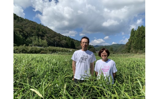  四万十の台地で育った辛口ジンジャーシロップ6本／Fmf-02