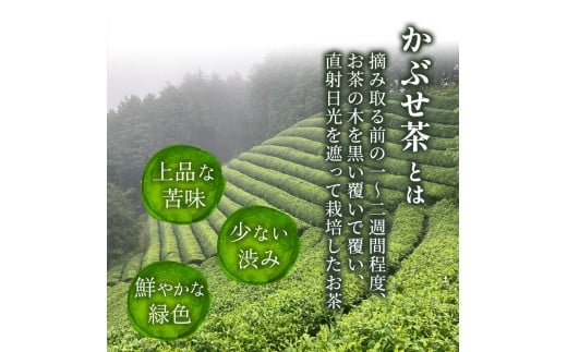 【四万十川源流】 お茶シュトーレン 2本（400g×2）／Ikg-112