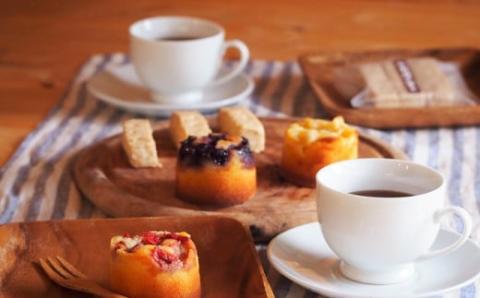 【しまんと果実／ギフト用】タルト（6個入：キウイ・すもも・文旦・ブルーベリー、金柑、ジンジャーラムナッツ）カゴノオト／Ikg-95 