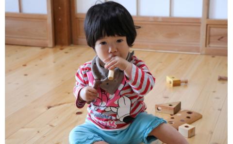 想像を重ねる楽しさ「エンデバー号」／Ole-28