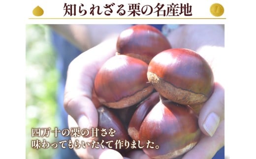 【新栗】【添加物不使用】栗のおいしさを追求！「しまんと地栗モンブラン(3個入)」／Qdr-A77