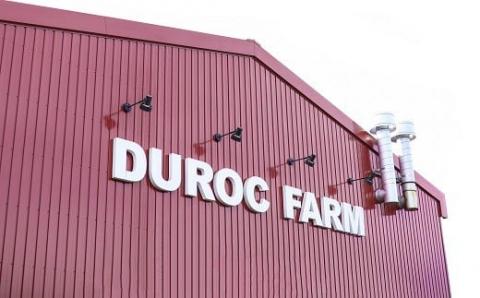 ◆丁度いい1.0㎏◆四万十町産◆新鮮国産ブランド豚こま切れセット／Adf-A24