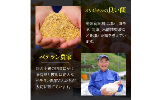 ★銘柄鶏四万十鶏★ チキンスティック400ｇ 簡単揚げるだけ♪ ／Adf-73　