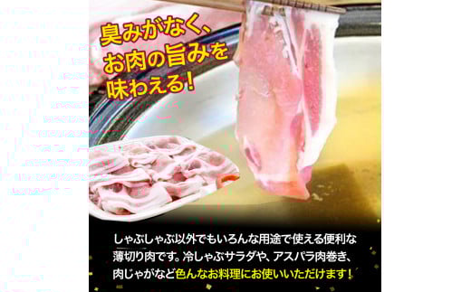 農林水産大臣賞！「四万十ポーク」麦豚ロースとんかつ＆しゃぶしゃぶセット（1.1kg） 豚カツ 豚かつ シャブシャブ 国産 ぶた肉 豚肉 肉 お肉 国産豚肉 国産ぶた肉 冷蔵 ／Ahc-03