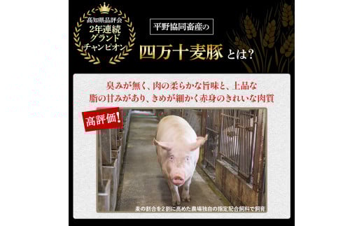 平野協同畜産の「麦豚」3種のとんかつ肉セット 約1.1kg（130g×6、350g×1） 豚肉 麦豚 四万十ポーク ブランド豚 トンカツ 豚カツ ロース 肩ロース ヒレ／Ahc-12