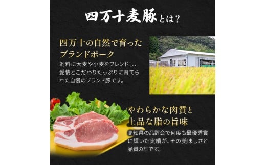 四万十麦豚 豚カツ （約100g×5枚）平野協同畜産 豚肉 麦豚 四万十麦豚 ブランド豚 トンカツ 豚カツ 冷凍カツ 豚ロース 背ロース／Ahc-17