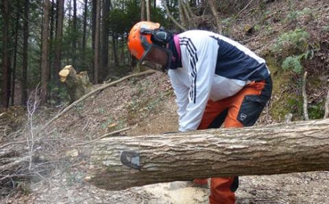 組み立て簡単フリースタイルベンチ　「四万十ヒノキのアドベンチー」　(2m以内)／Bnm-A10	