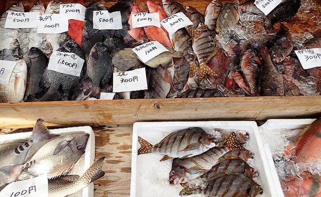 漁港直送！四万十町産の天然伊勢海老2～3匹（計1300ｇ）／Dns-Z15