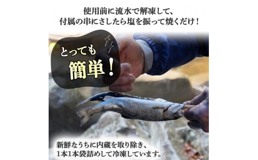 子どもが喜ぶバーベキュー！清流育ちの四万十あめご（約700g）【BBQ専用竹串付き】おつまみ バーベキュー BBQ アウトドア アメゴ あまご アマゴ 魚介 川魚 塩焼き 小分け  冷凍 8～10匹  個包装／Eay-01