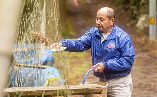 焼くだけ簡単！無投薬で四万十育ちのあめごの開き　大サイズ6匹 ／Eay-05