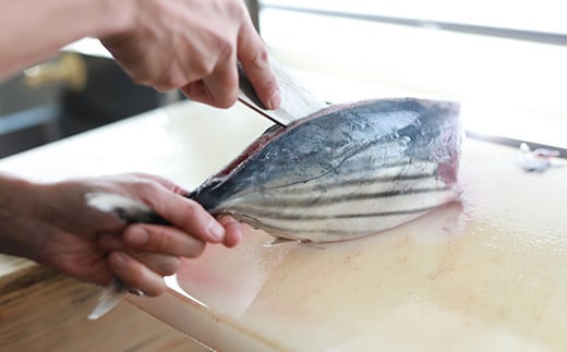 【予約受付】【生の鮮度】初ガツオのタタキ2-3人前（薬味付き） 鰹  高知 海産 冷蔵 ご贈答 ご家庭に ギフト  薬味（ニンニク、ネギ、大葉、生姜）特製のたたきのタレ　かつおのたたき／Efs-10