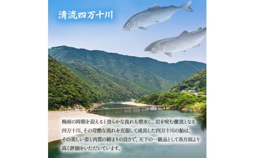 四万十川上流の天然鮎 釣り鮎600g【冷凍 4～12尾】／Esj-40k