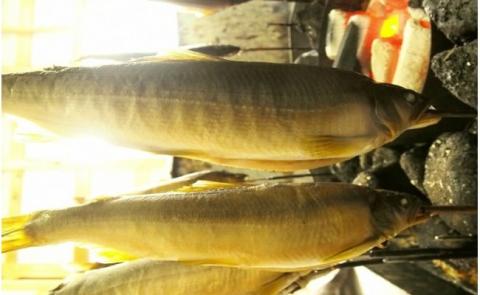 【四万十流の甘露煮】焼鮎の四万十煮／Ess-10