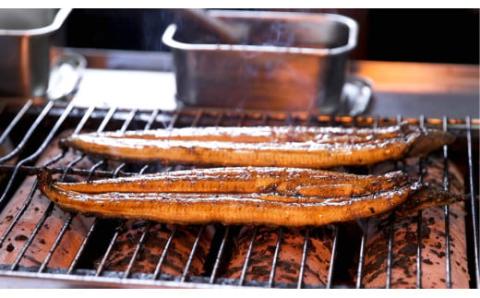 うなぎ藁焼き 白焼き・蒲焼き 各3尾セット【140g x 6本】／Esu-109