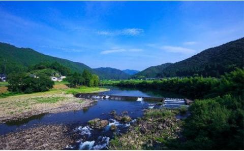 うなぎ蒲焼きカット5袋セット／Esu-115