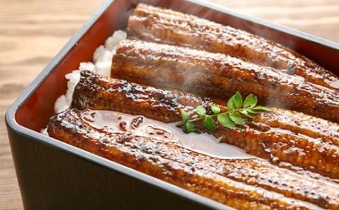 うなぎ蒲焼き【6本セット】／Esu-125