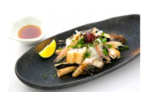 期間限定 数量限定 塩うなぎセット 280g（140g×2本） ウナギ 鰻 小分け 惣菜 国産 冷凍 ウナギ 鰻／Esu-201