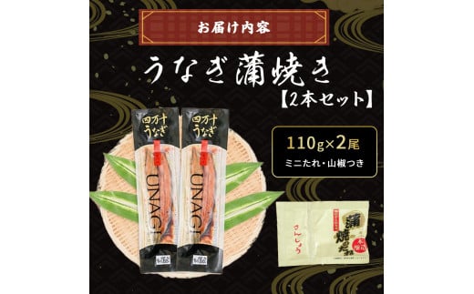 うなぎ 蒲焼き セット 220g (110g×2本) ／Esu-A92
