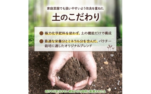 「パクチーを爆盛りたい！」ベランダ有機栽培キット「初心者でもできた！」／Fis-B01 