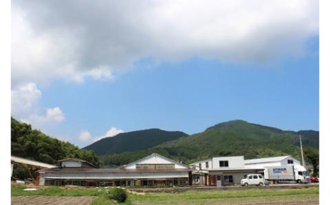 お皿に豆腐を移してジュレをかけるだけ！ごちそうたまごどうふ(ゆず、トマト・各4個ずつ)【お届け日指定可能】／Gbn-15