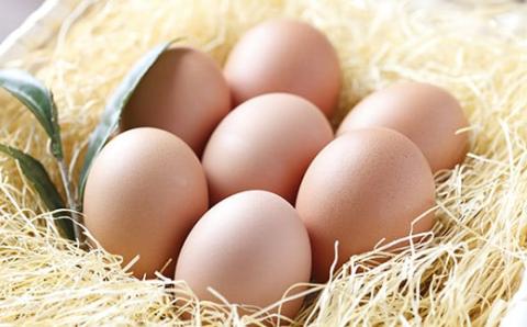 たまご農場直営スイーツ!四万十栗のモンブラン　5個入り／Gbn-51