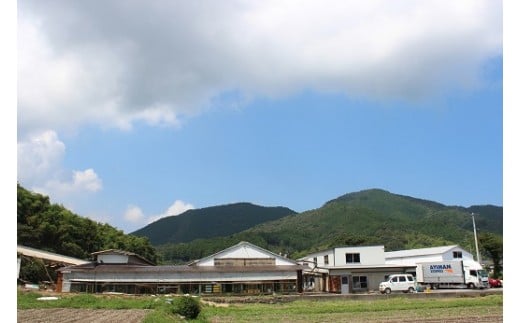 卵が苦手な子どもも食べられた！生臭くないおいしい卵 6個入×5P／Gbn-A03 