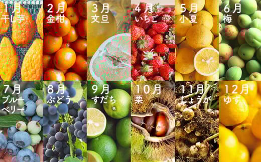 【2026年先行予約】1年かけた四万十の旬でつくる シュトーレン （2本セット）　冬 クリスマス プレゼント スイーツ お菓子 ケーキ パン カゴノオト／Ikg-Z104