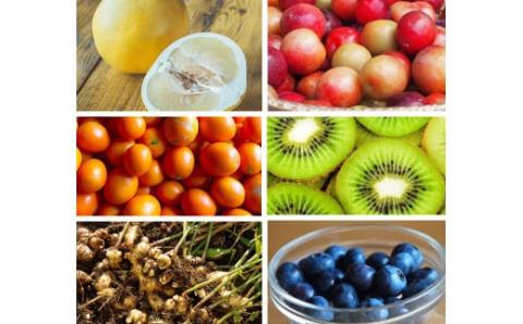 【しまんと果実／ギフト用】タルト（6個入：キウイ・すもも・文旦・ブルーベリー、金柑、ジンジャーラムナッツ）カゴノオト／Ikg-95 