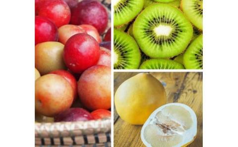  【しまんと果実／エコ包装】タルト（3個入：キウイ・すもも・文旦）カゴノオト／Ikg-Z97