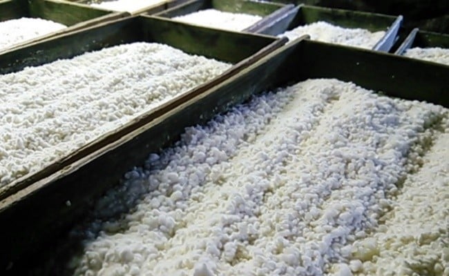 井上糀店の手作り味噌キット（容器なし）／Lik-B02