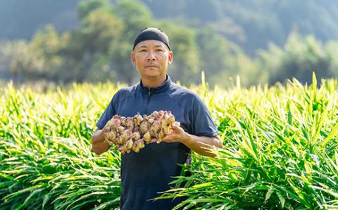 四万十町産生姜をたっぷり使用！クラファン291%達成の生姜プロテイン 1袋／Org-A04