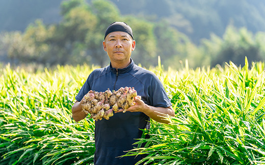 四万十町産生姜をたっぷり使用！クラファン291%達成の生姜プロテイン 2袋／Org-A05