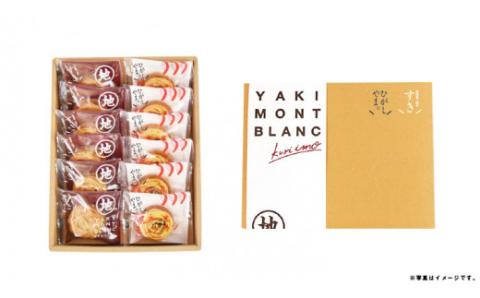 栗と芋の焼きモンブラン アソート(12個入)。サブレ生地にしっとり栗・芋のクリームがたまらない／Qdr-196