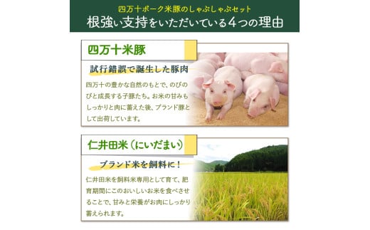 柔らかい肉質と甘みが人気！しまんと米豚のしゃぶしゃぶセット 計800g（400g×2)　 豚肉 豚 豚しゃぶ お取り寄せ 人気 ギフト お歳暮 お年賀  豚バラ 豚ロース 薄切り 冷蔵／Qjs-01