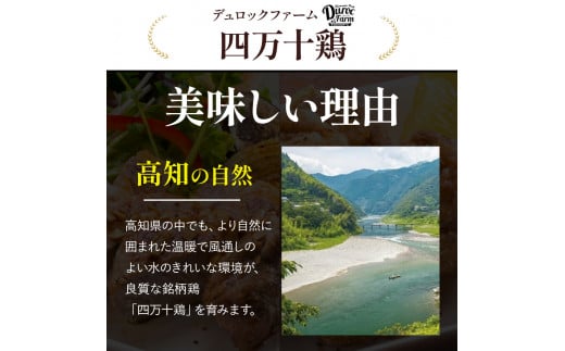 高知育ちの銘柄鶏 四万十鶏 もも肉 1kg　国産 国産鶏肉 肉 お肉 鶏肉 とりにく 鳥肉 鶏モモ 鶏もも 冷凍 唐揚げ ／Adf-B29